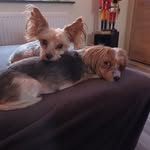 Madeleine Meyer - @viertelmadeleine - Instagram