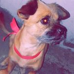 Madeleine Moreno - @madeleinemoreno38 - Instagram