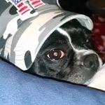 Madeleine O'neill - @madeleine.oneill.37 - Instagram