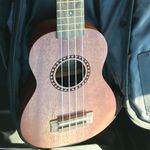 Madeline Pace - @madeline.pace.music - Instagram