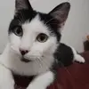 Madeleine Raymond - @madeleine.raymond - TikTok