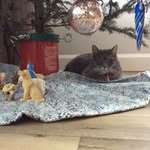 Madeleine Raymond - @madeleine.raymond.9210 - Instagram