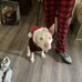 Maddie Roach - Facebook