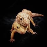 Madeleine Robinson - @cosmic_mystery_1 - Instagram