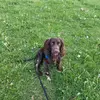Madeleine Robinson - @madeleine.robinso - TikTok