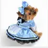Madeline Rutherford - @maddie_cr - TikTok