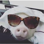 madeleine ryan - @mads_ryan - Instagram