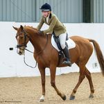 Madeleine Ryan 🌹 - @madeleine.eventing - Instagram