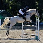 Madeleine Ryder - @aussie_eventing - Instagram