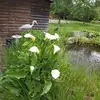 Madeleine Schmidt - @madeleine.schmidt2 - TikTok