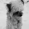 Madeleine Schmidt - @madeleine.schmidt4 - TikTok