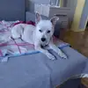 Madeleine Simon - @madeleine.simon6 - TikTok