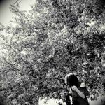 Madeleine Springer - @irenelewis652s2b - Instagram