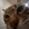 Madeline Stuart - @madeline.stuart - TikTok