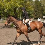 madeleine - @madeleine_sullivan_eq_2 - Instagram