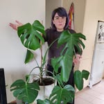Madeleine Sullivan - @madeleine.sullivan - Instagram