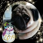 Madeleine Bigley Swift - Facebook