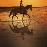 Madeleine Torres - @madeleine_t_16 - Instagram
