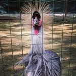 Madeleine Wallace - @madeleinewallace74vqw - Instagram