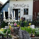 Madeleine Werner - @zeitlos.schwanfeld - Instagram