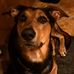 Madeleine Werner - Facebook