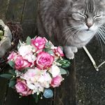 Madeleine Werner - @zeitlos_schwanfeld - Instagram