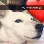 Madeleine Grace - @madeleine.wolfenden - Instagram
