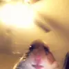Madeline Albert - @v4b28ffba - TikTok