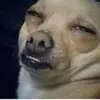 Devocia - @madelinebaer57 - TikTok