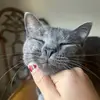 Madeline Bailey - @_m.a.d.e.l.i.n.e_ - TikTok