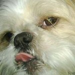Madeline Benson - @madeline.benson.56 - Instagram