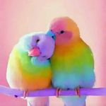Madeline and bird - @ma_deline4396 - Instagram