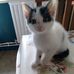 Madeleine Boucher - Facebook