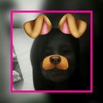 madeline bravo - @madelinebravo050 - Instagram