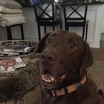 Madeline Bunch - @mbunch1953 - Instagram