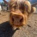 Madeline Cameron - Facebook