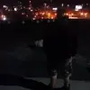 Madeline Cameron - @2176854392 - TikTok