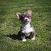 Madeline Christopher - Facebook