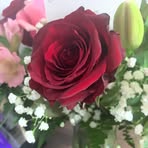 Madeline Colombo - Facebook