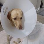 Madeline  conley - @dougconley2013 - Instagram