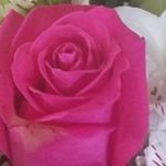Madeline Curtis - @madeline.curtis.52 - Instagram