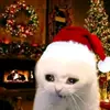 ❀꒰🍓꒱ؘ Gf dear Madeline࿐ ࿔*:🍓 - @.gf.dear.madeline - TikTok