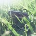 Maddy DeJong - Facebook