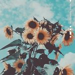 madeline dolan - @mblaise_41 - Instagram