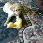 Madeline Dynes - Facebook