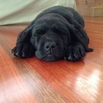 Madeline Eames - @madeline_eames - Instagram