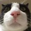 Madeline Eckenrode - @madeline.eckenrod2 - TikTok