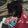 madelineedge77 - @madelineedge77 - TikTok