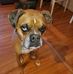 Madeline Emerson - Facebook