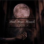 Madeline espinal - @darkmagickennels_cny315 - Instagram